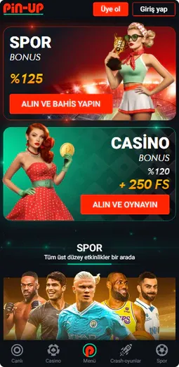 pin-up casino apk indir