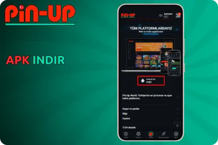 pin up indir android