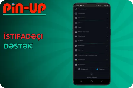 Pin Up yükle APK