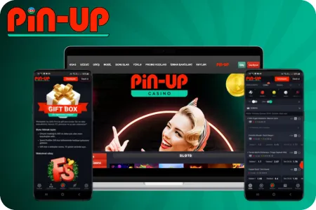 Pin Up bet APK