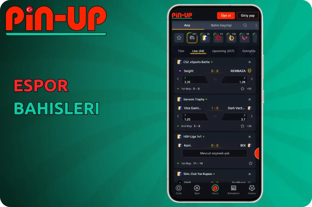 pin-up bet mobile app